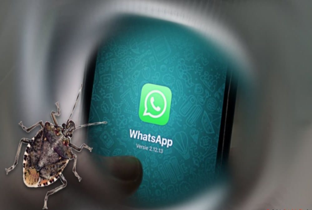 Your SmartPhone Data may stole  from Whatsapp account Spyware bug