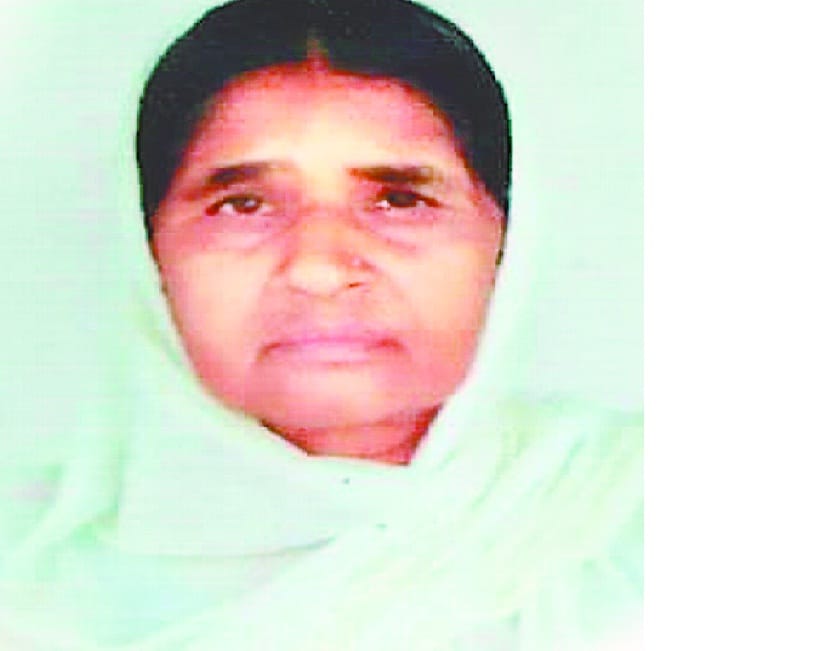 The daughter-in-law killed her mother-in-law