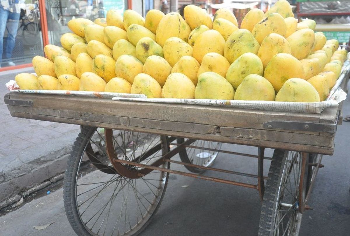Mango festival is on 22-23 june