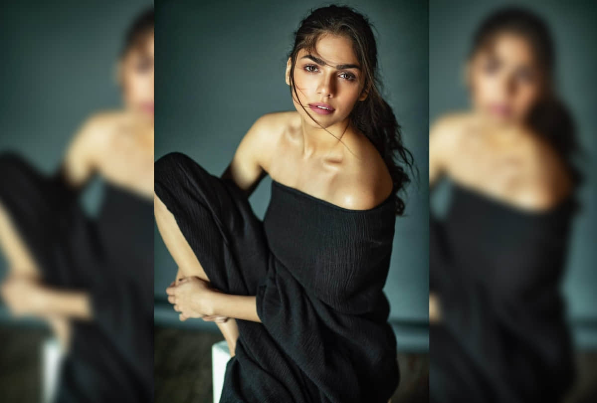 despite being injured Sharmin Segal shot stunt scene for Sanjay Leela Bhansali's film Malaal