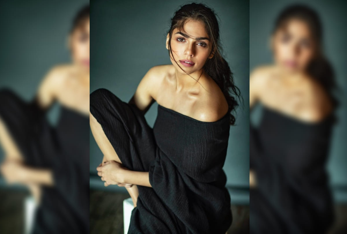 despite being injured Sharmin Segal shot stunt scene for Sanjay Leela Bhansali's film Malaal