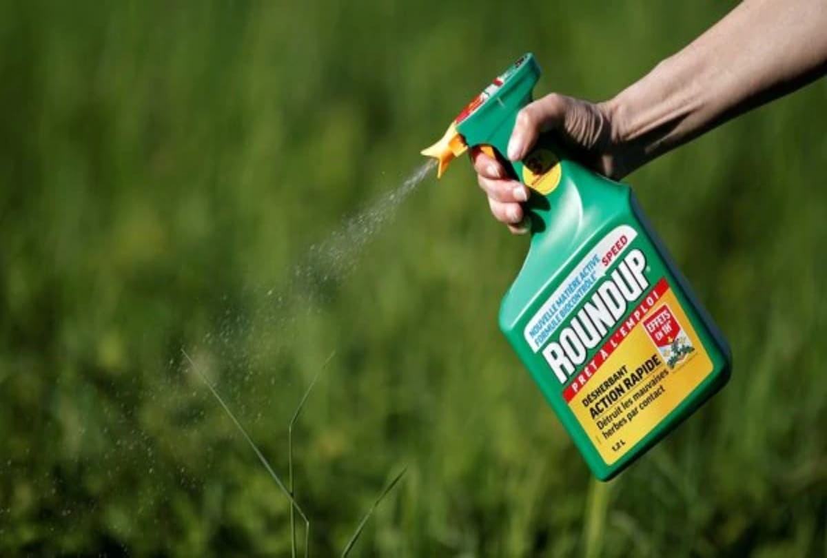 US Company Monsanto Lost 3rd Time Weed Killer Cancer Case Ordered To Pay Rs 14,385 Crores Damages