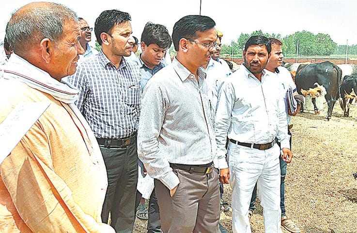 DM's rise in slower progress of under-construction Goshalas