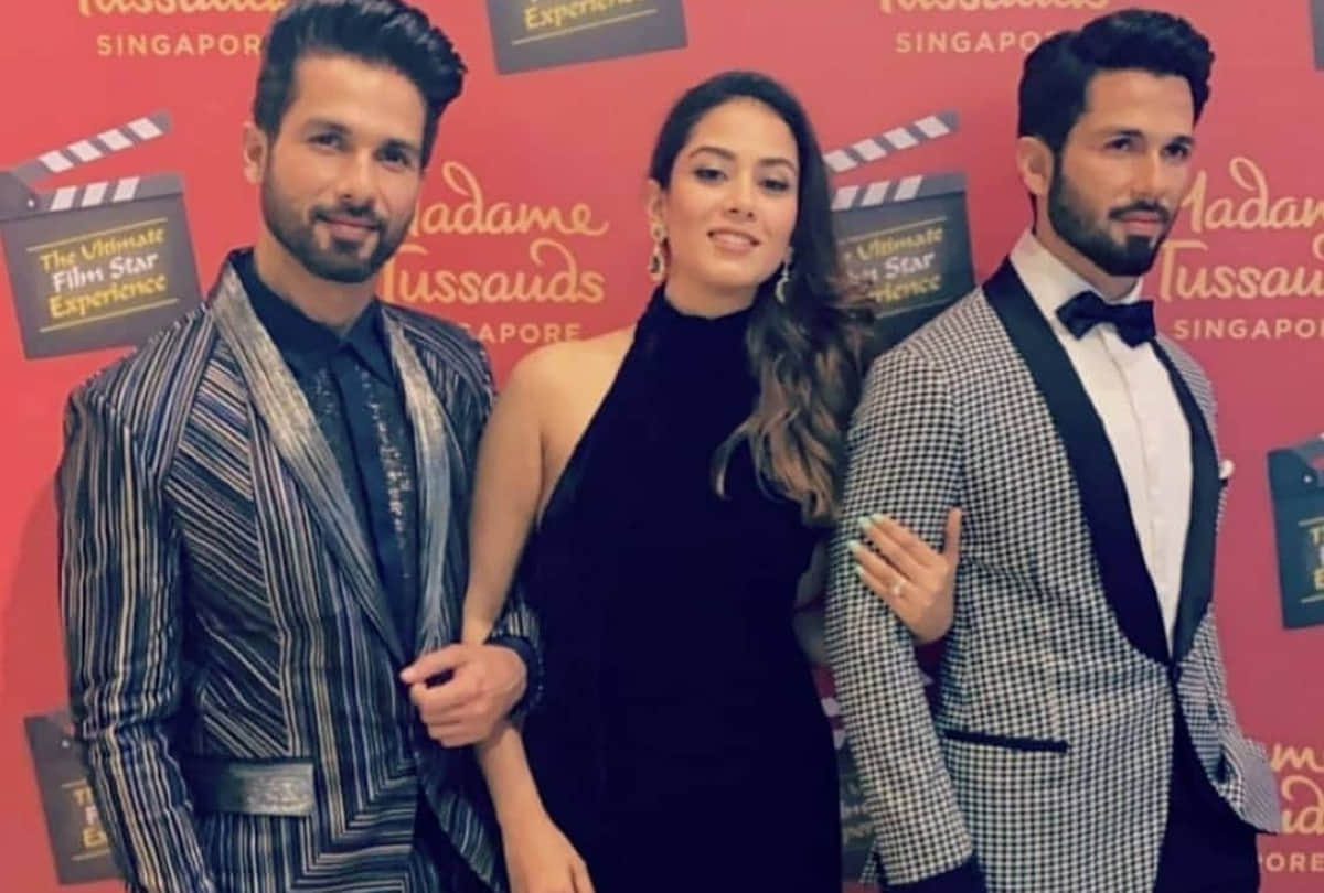 Mira Rajput reaction on kabir Singh, said its time for Shahid kapoor to shine