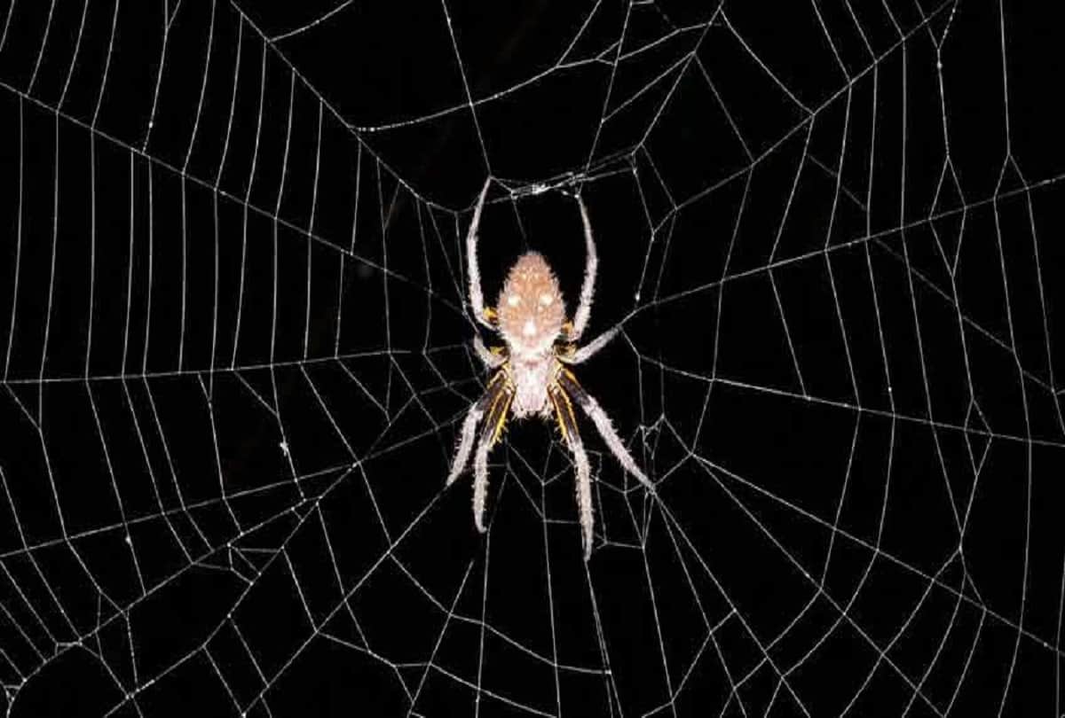 do not avoid some vastu tips