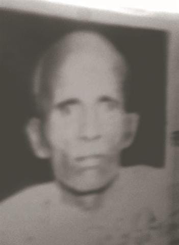 Bull fielded attacking the elderly to death