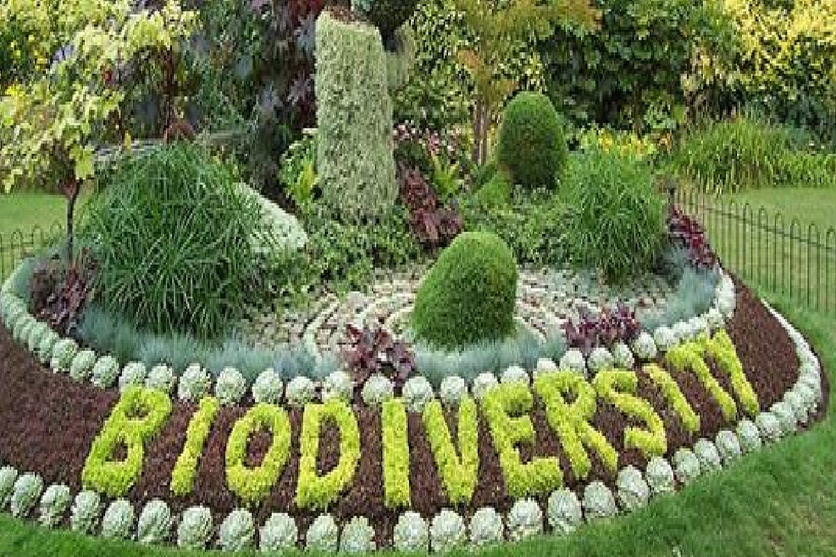 Biodiversity Park will be built in 26 districts including Hastinapur under Namami Gange Project