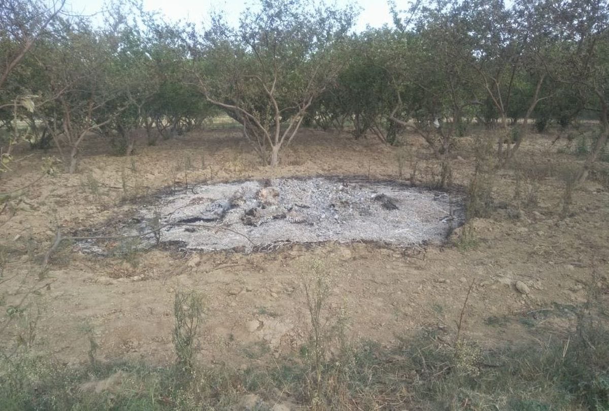 young man dead body burnt in guava garden in agra