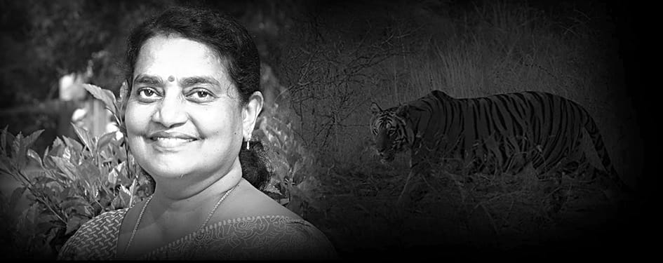 Sheelu francis connected farmers to grain
