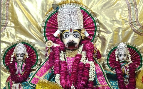 श्रद्धा से मनाया नृसिंह भगवान का प्रकटोत्सव