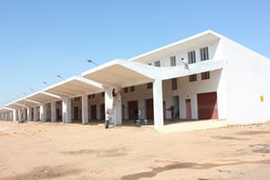 bussiness started in bhojla mandi next months