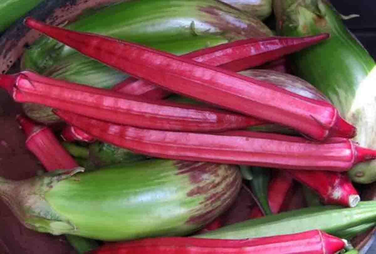 red lady finger will increase eyesight