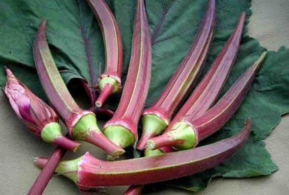 red lady finger will increase eyesight