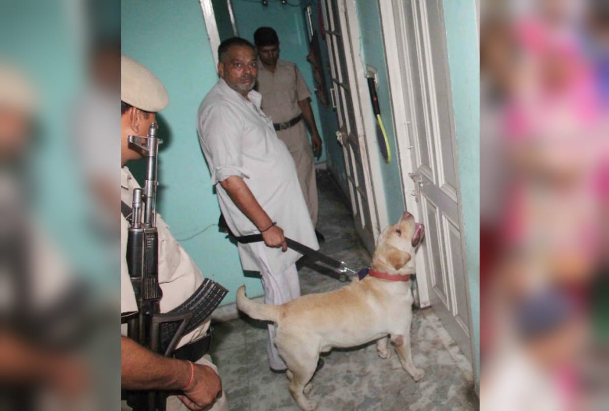 faridabad girl killed mercilessly in house half naked dead body found in pool of blood