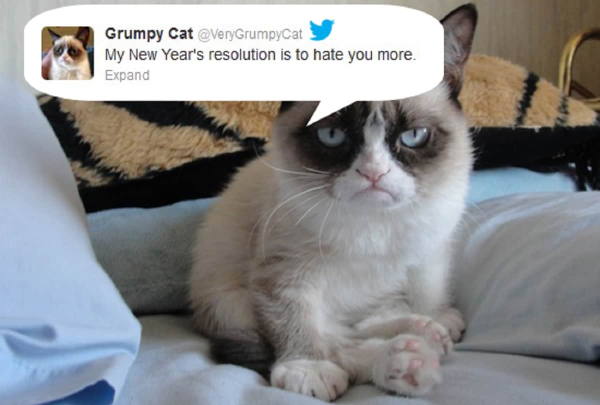 internet most famous richest grumpy cat died at age 7
