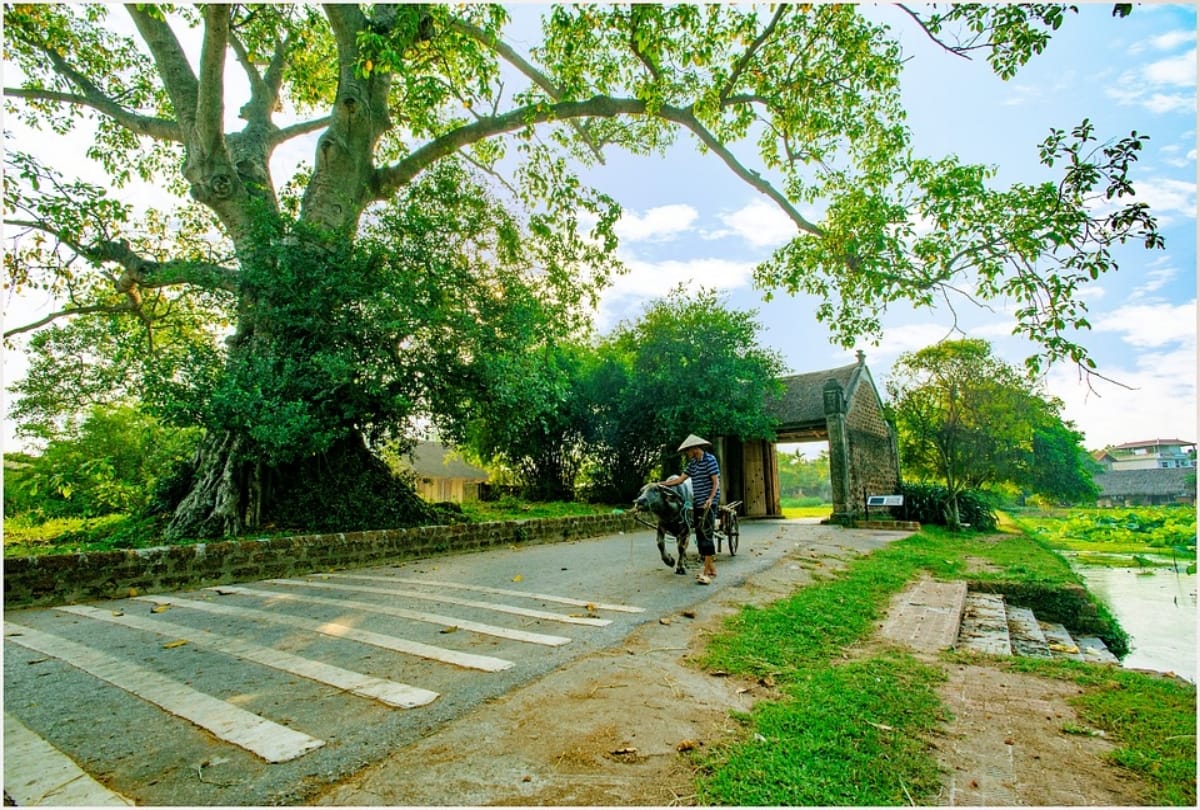 must see places for tourist to visit and travel in hanoi