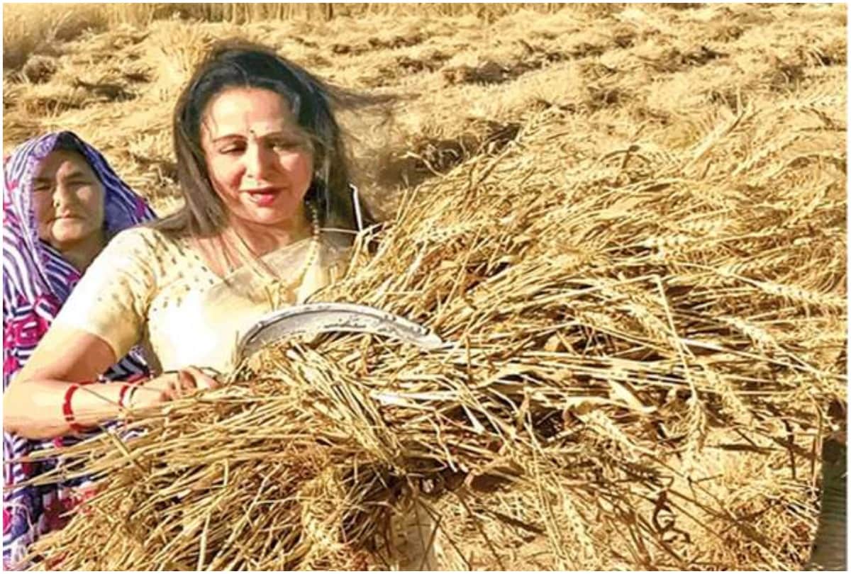 Lok Sabha Chunav 2019: All 7 phases Poll Campaigning in pictures