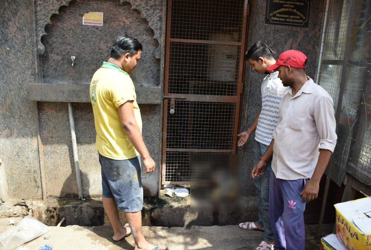 three monkeys found dead again in Vrindavan