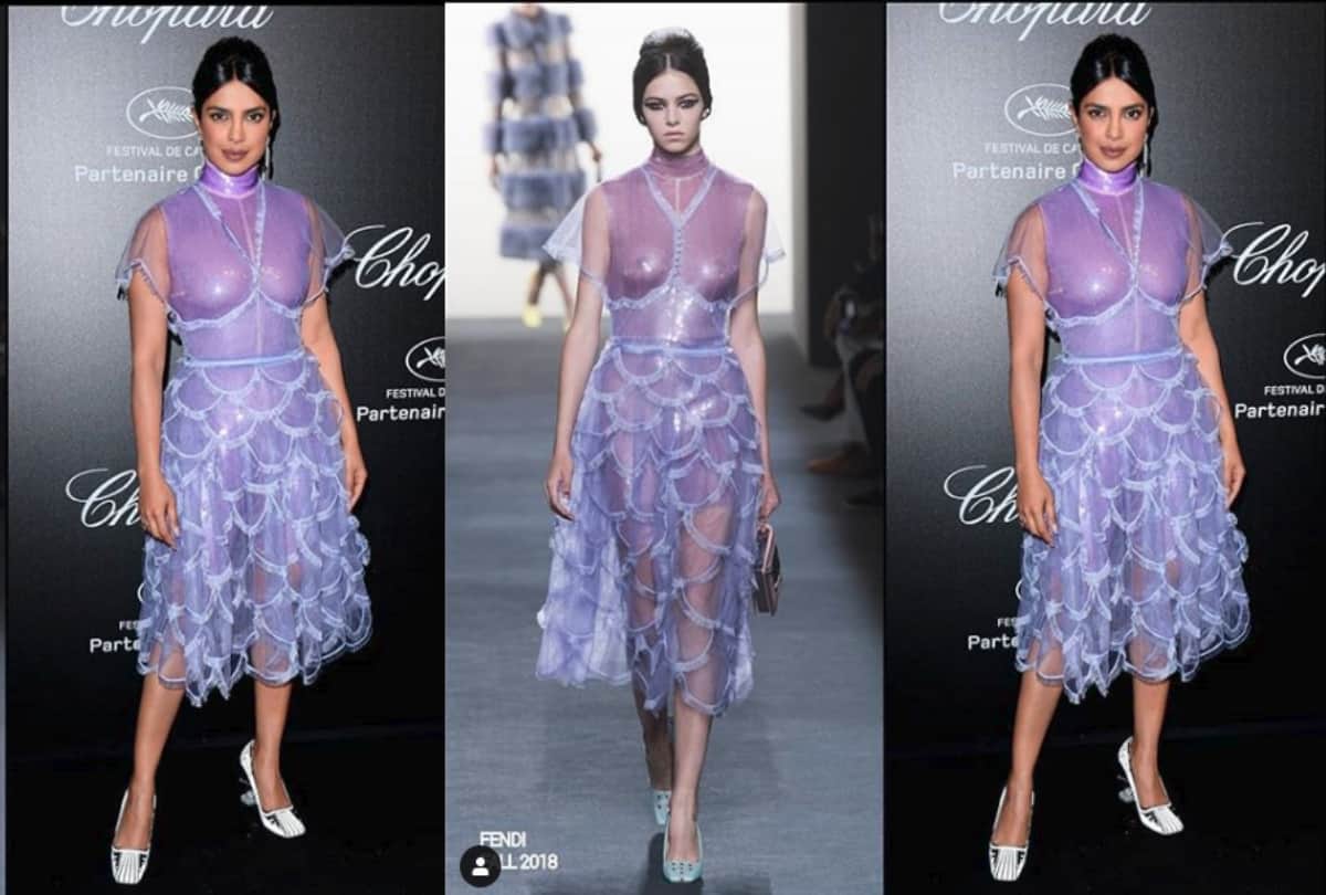 priyanka chopra cannes 2019 party look lavender color fish scale dress mocked by fans