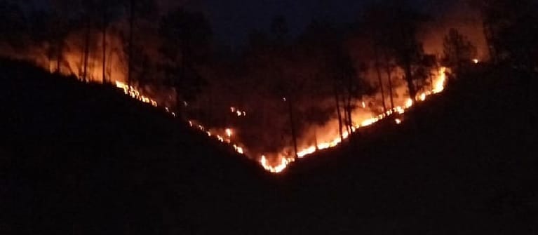 Kausani - Forest of forests reaching the Baijnath motorway