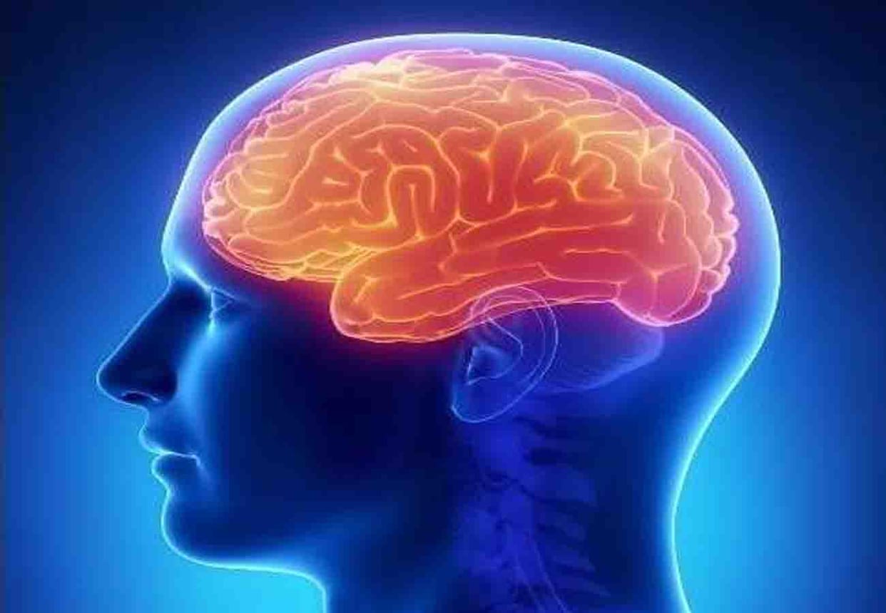 it is major reason for brain stroke Hypertension patients drink more water in summer