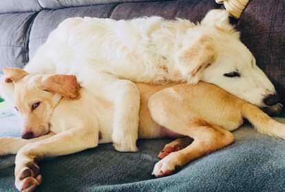 प्रतीकात्मक तस्वीर