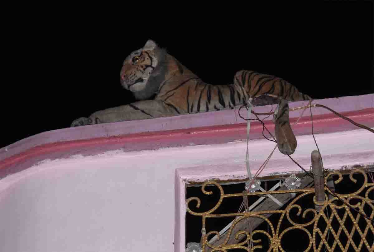 woman brutally beat 12 year old girl in kanpur arrested