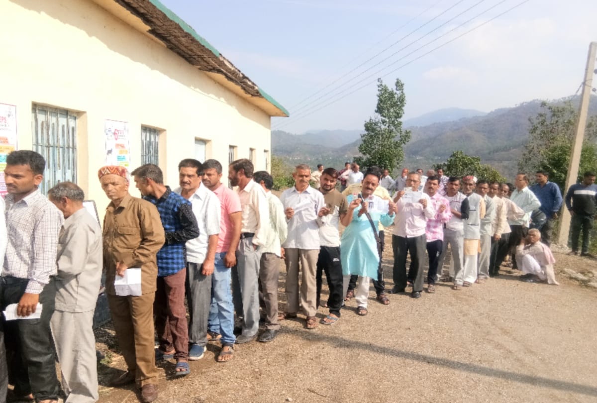 lok sabha election 2019: sdm nalagarh took elderly woman to the polling booth