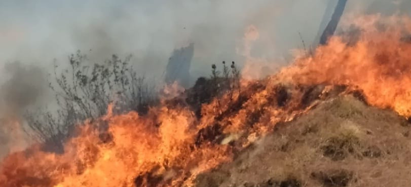 Forest fire reached Chandraya Range office