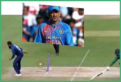 England vs Pakistan: Adil Rashid copied ms dhoni style for run out Babar Azam