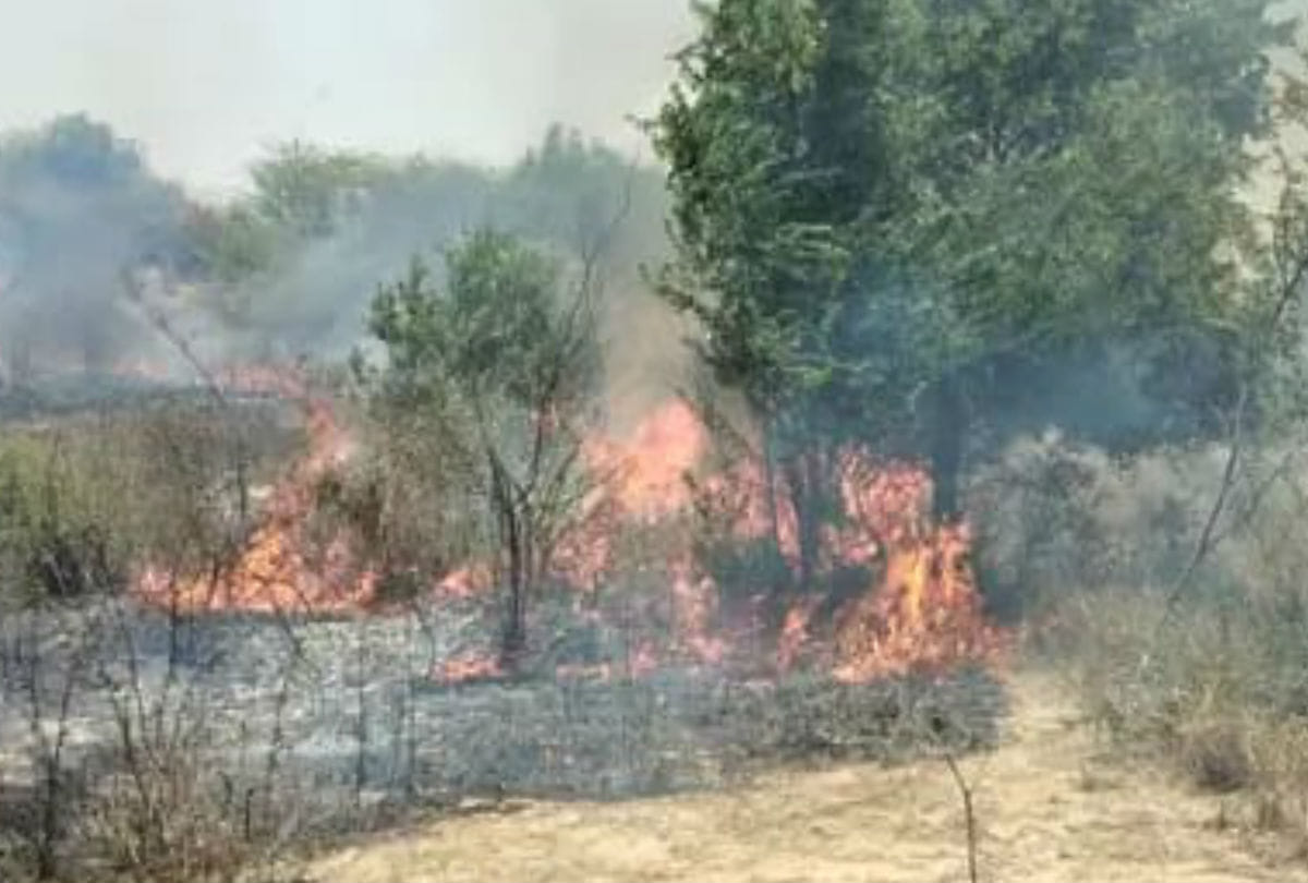 Fire breaks out in  Mankote sector along LOC Forests in Mendhar Sub Division of Poonch District