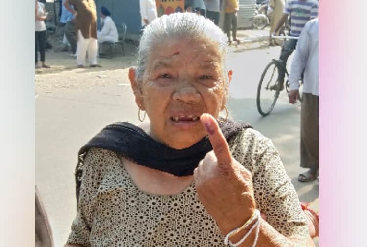 Lok sabha elections 2019, old people reach to vote in polling booth in Chandigarh and Mohali