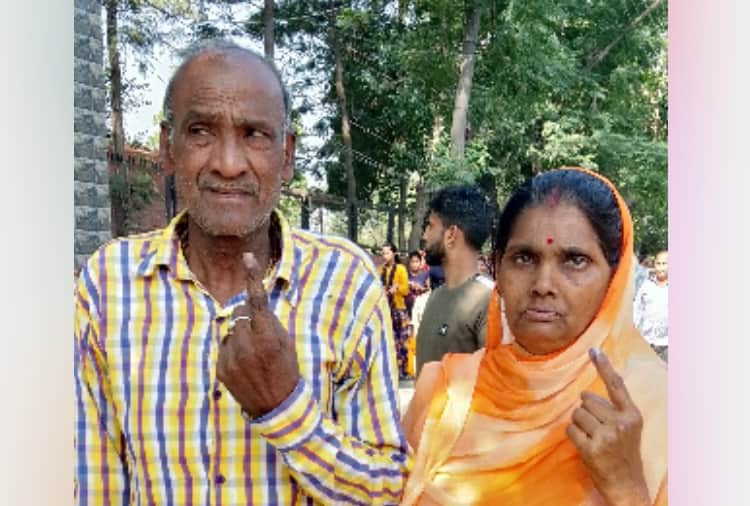 Lok sabha elections 2019, old people reach to vote in polling booth in Chandigarh and Mohali