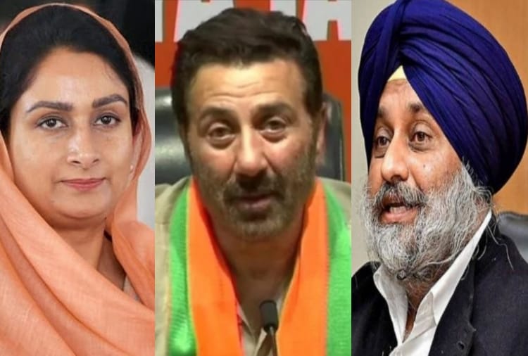 Lok sabha elections 2019, Polling for final phase of lok sabha elections end in Punjab