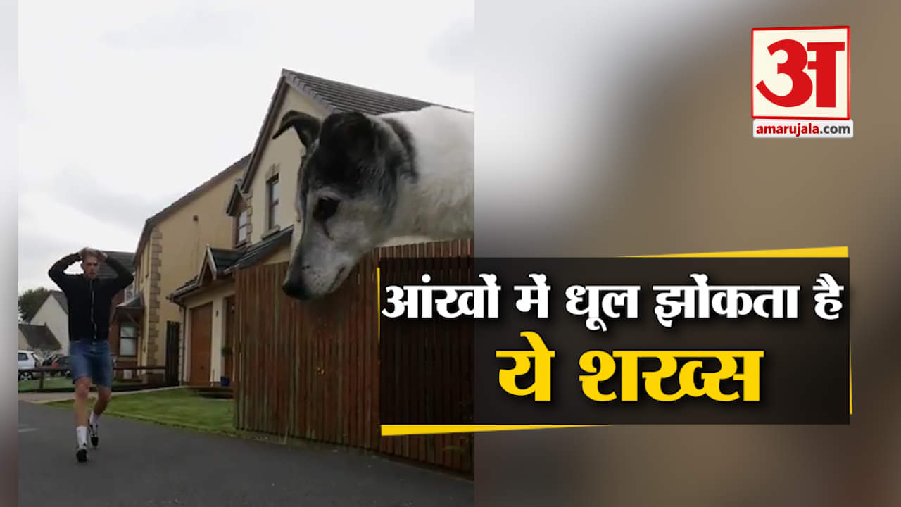 डिजाइन पिक्चर