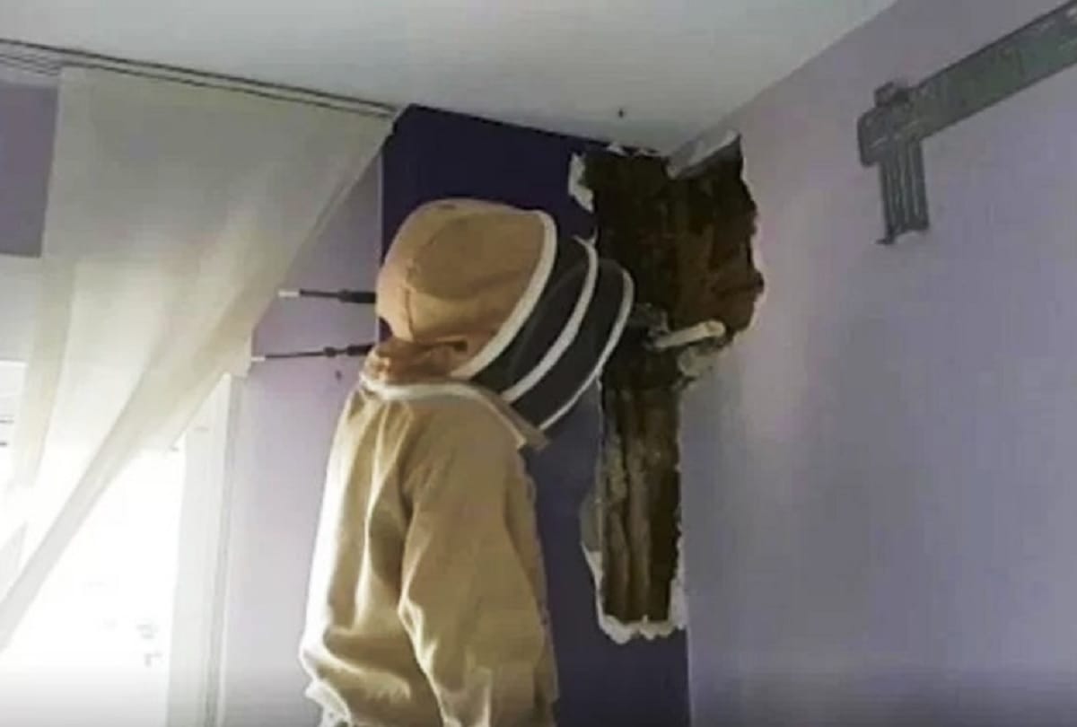 Shocking story Spanish Couple finds 80 thousand bees in his bedroom