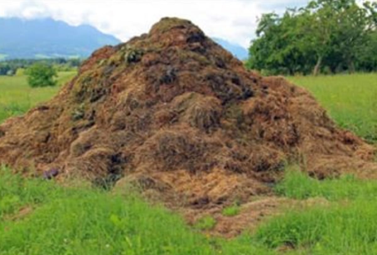 Ahmedabad man coats car with cow dung to cool it as temperatures rise