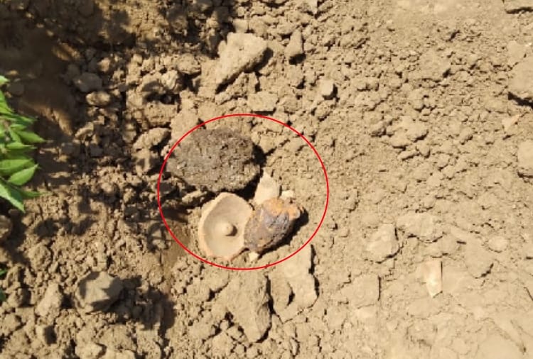 Hand grenade found in the field in Batala of Punjab