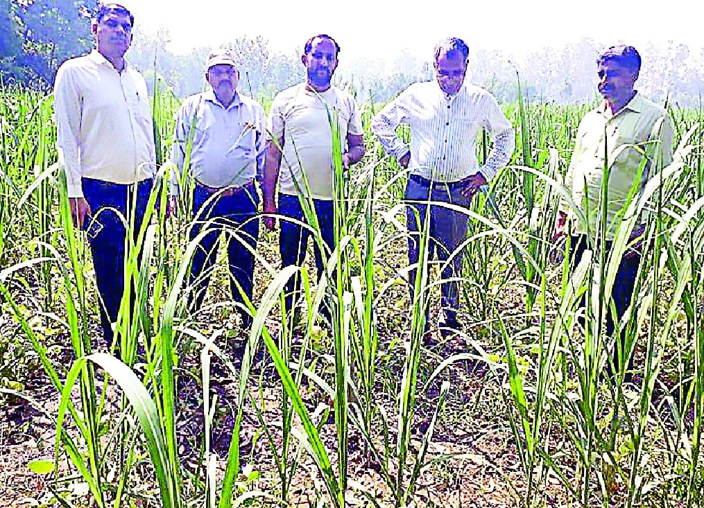 Farmer has prepared Zero budget farming role model