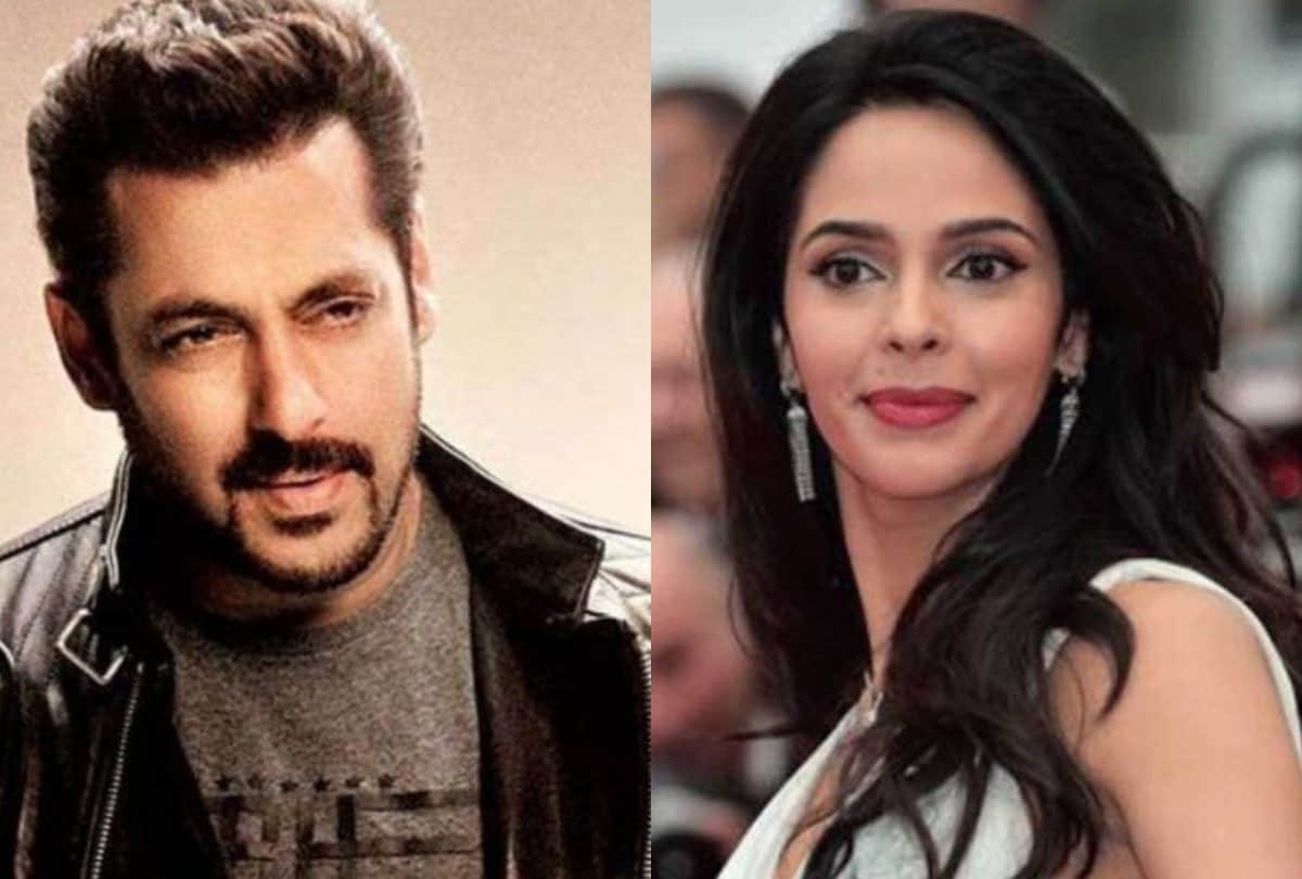 salman khan speak priyanka chopra and mallika sherawat troll here is top entertainment news