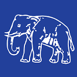 Mission 2024: BSP will solve Muslim-Dalit equation, party has decided the outline