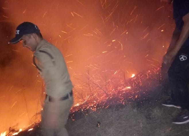 Forest Department's Plant Resist From Injury