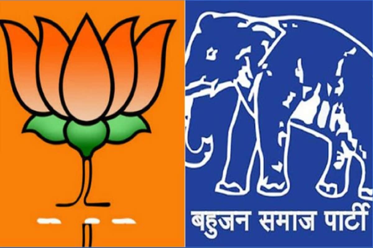 Lok Sabha Election Results 2019: BJP Four and BSP three seats won in the western UP