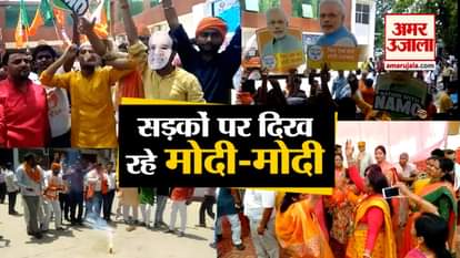 BJP workers celebration in different state