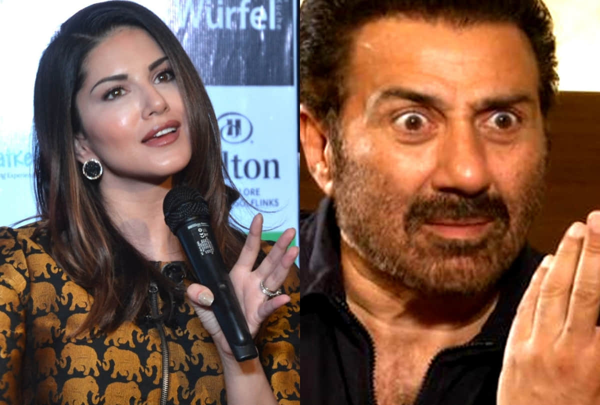 news anchor calls sunny deol as sunny leone actress reply on twitter