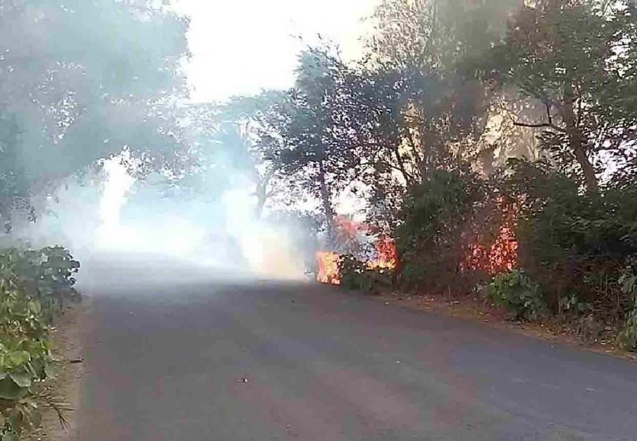 forest caught fire in mahoba