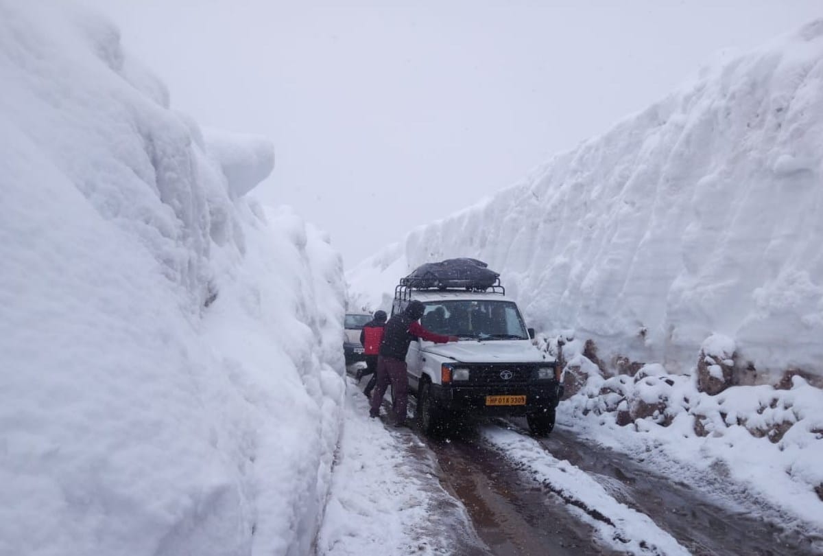 fresh snowfall in rohtang lahaul spiti and rain in shimla himachal pradesh