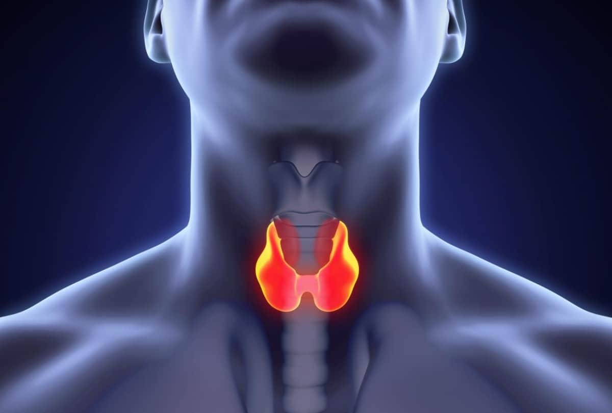 thyroid symptoms causes treatment remedies tips upay in hindi