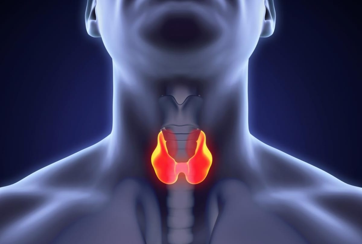 What Diseases Affect Your Voice, can thyroid problems cause voice changes