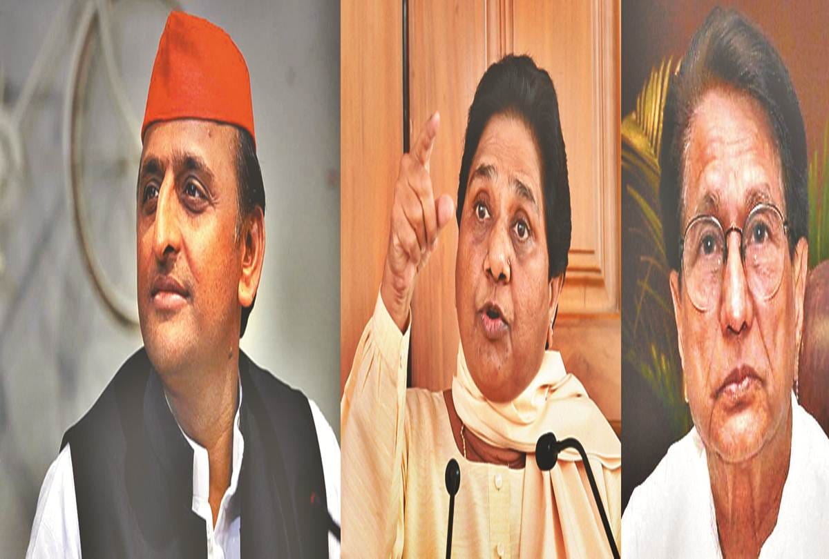 Lok Sabha Election 2019 Result: UP lok Sabha, Question on future of SP-BSP-RLD alliance in UP